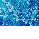 water fan club W