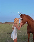 sunnyside equestrian academy