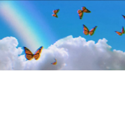 𝓬𝓪𝓻𝓮𝓫𝓮𝓪𝓻 𝓱𝓪𝓷𝓰𝓸𝓾𝓽🧸