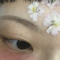 ۶𝄞ৎ ⋆ ˚｡