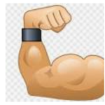 Muscle bugs