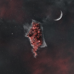 파란쿠키