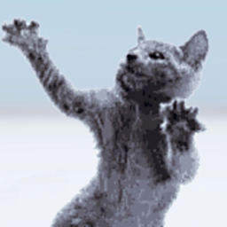 Watch The Cat Dance