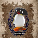 ## Pingu nation xX
