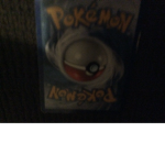 The Pokémon group.