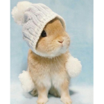 BunnieNaTure