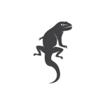 Lizzard Community