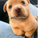 Haz tu momo papu