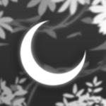 Eclispe Studio