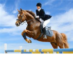 Horse Riding Group