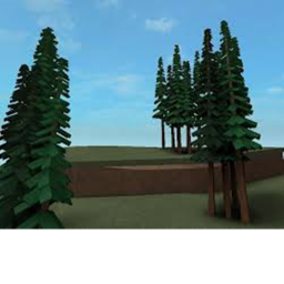 Forest Promise