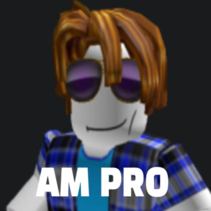 Sebee AM PRO meme picture Roblox decal