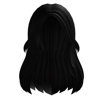 Long aesthetic black hair Roblox item