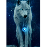 Wonderful worl of wolves