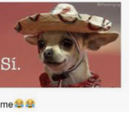 Hannah_hehe