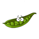 Grandma's paper Thin Peas
