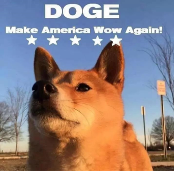 lucasthesavage's Place