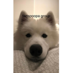 fartspoopa group
