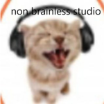 Non brainless studio