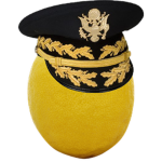 The Lemmon army