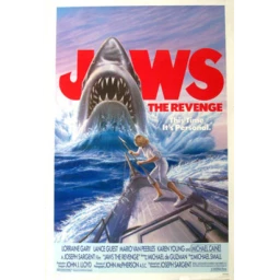 JAWS icon
