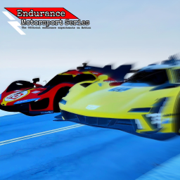 Endurance motorsport seires