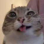 ZENTRIX.