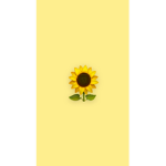 Roblox_sunflowers