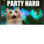 Cats r better than dogs