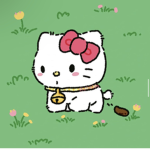 almond's kitten's
