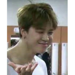 BTS army crack