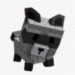 raccoon gng