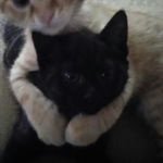 Cleo’s Friend Group!