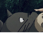 totoro’s island
