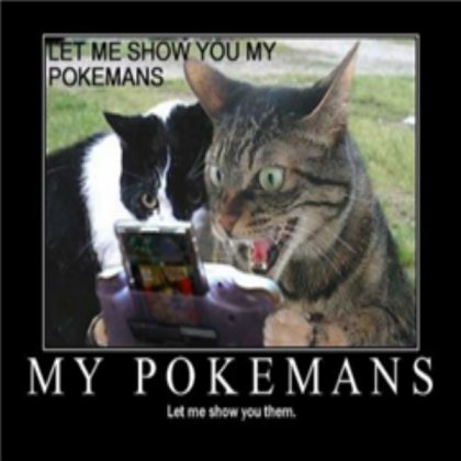 Funny Cats: Pokemans Roblox decal