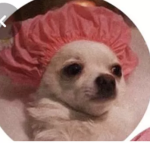 Its Mimi