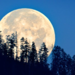 Moon Struck Studios
