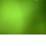 Green Edge Studios