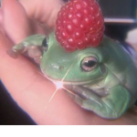 ･ﾟ ᴋ ᴏ ᴏ ᴋ ɪ ᴇ ッ