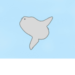 Sunfish Studio