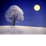 Luna's Moons