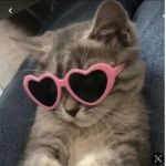 ʙᴇᴛʜ's ᴄʟᴏsᴇᴛ