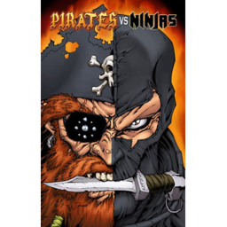 NINJA VS PIRATE