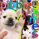 pibble games