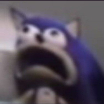 A sonic meme
