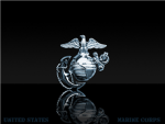 Marine Corps Elite Squads