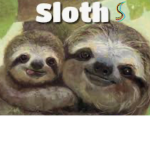 SLOW_SLOTHS <3