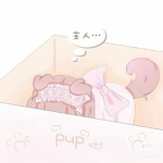 pupiu