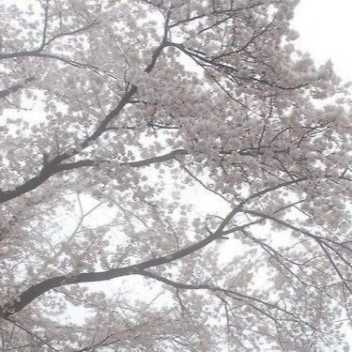 ▬▬ι═══════ﺤ