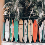 hawaii surfers <3